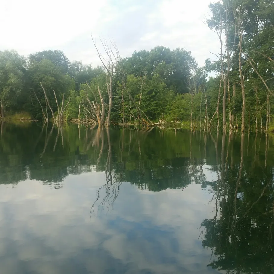 Lehngutbruch (Herzfelde) angeln
