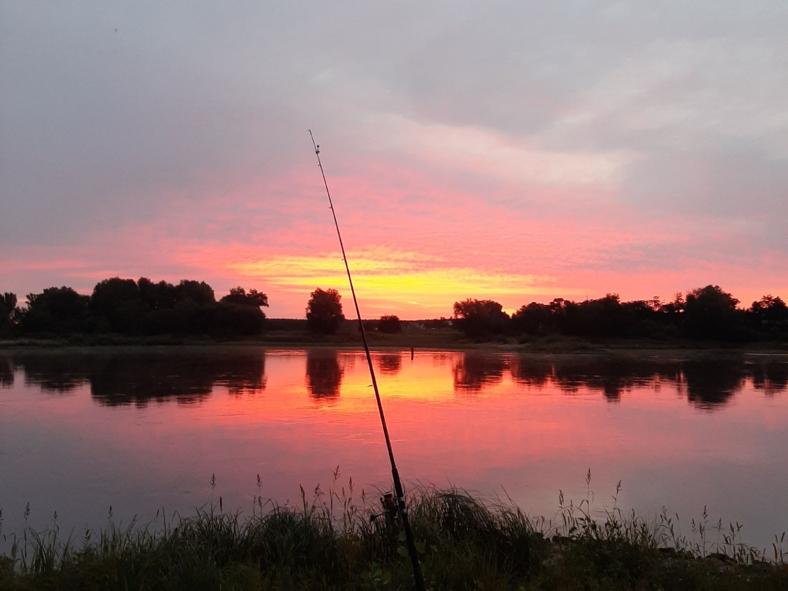 Elbe (Derben-Ferchland) angeln