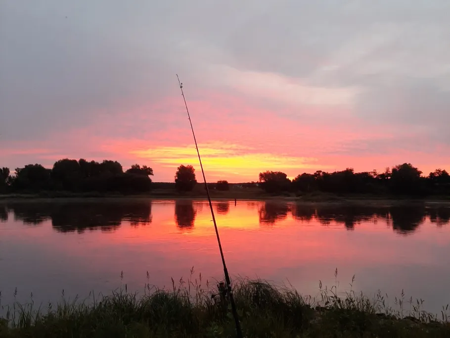 Elbe (Derben-Ferchland) angeln