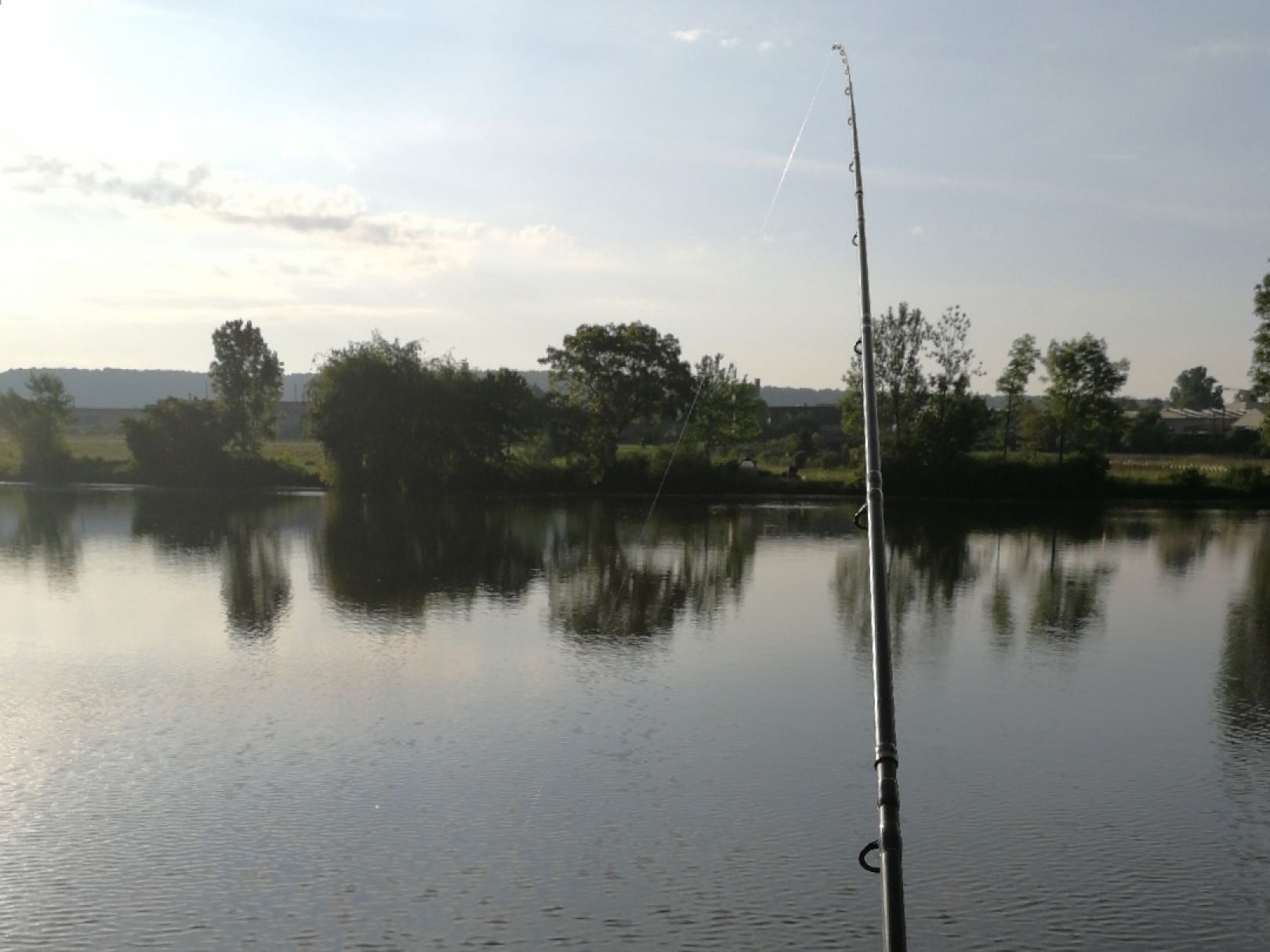 Neckar (Gundelsheim) angeln