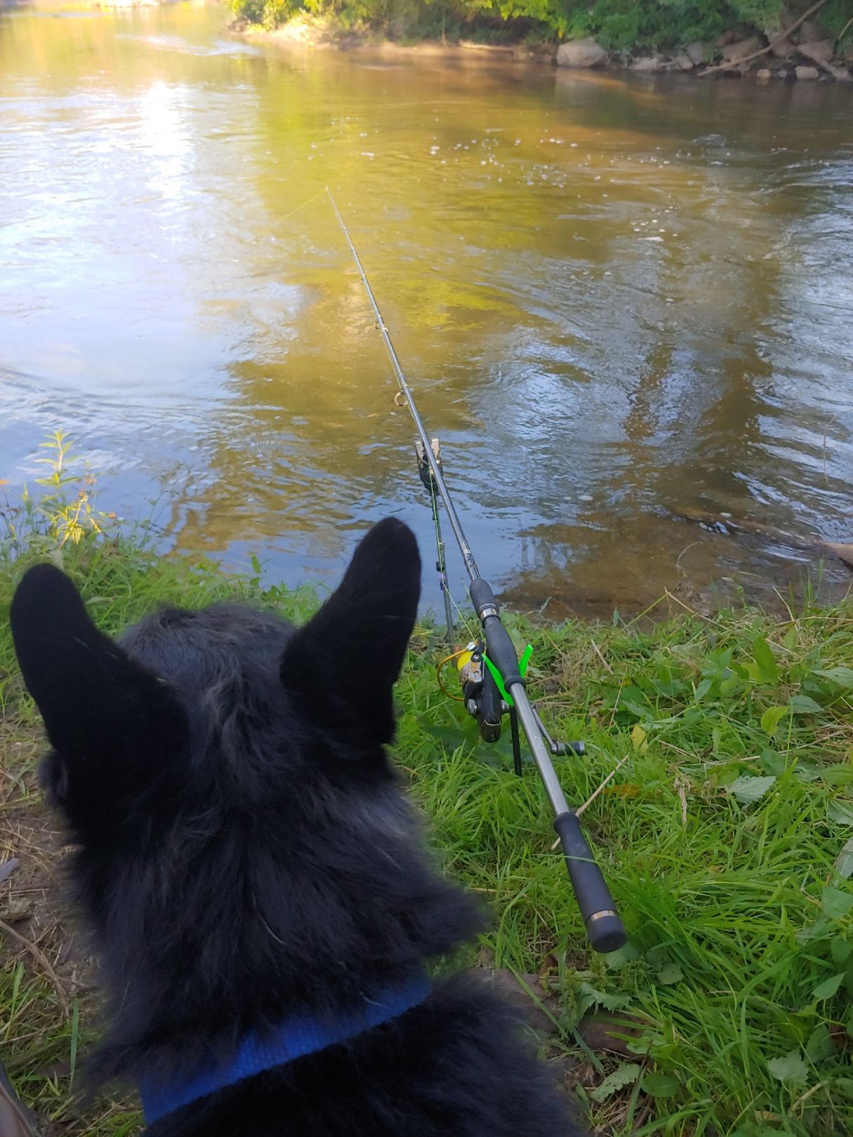 Angeln in Heidenberg