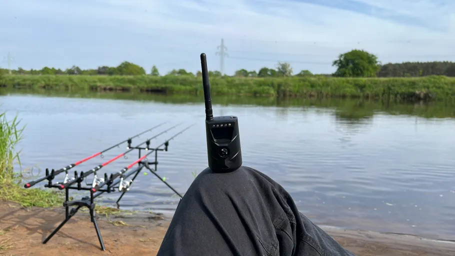 Aller (Wietze) angeln