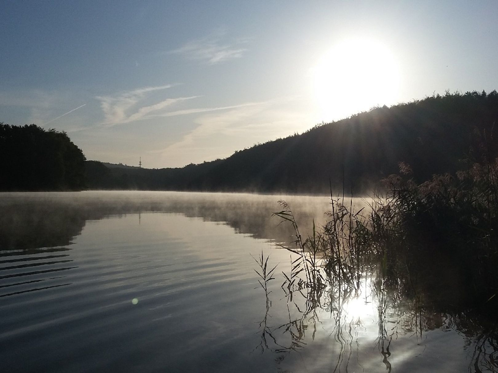 Ploggensee (Grevesmühlen) angeln