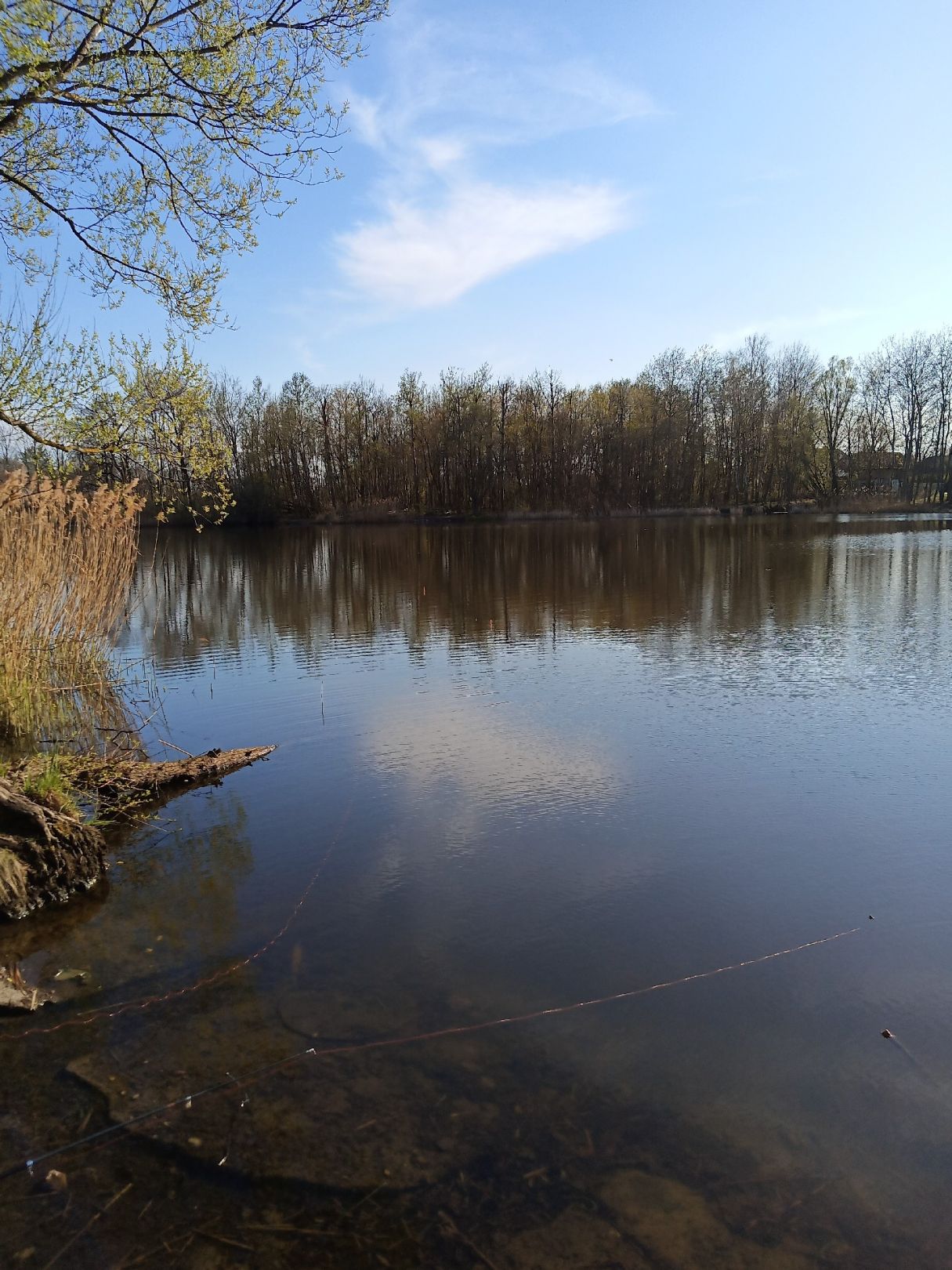 Bauernsee (Berlin-Schönefeld) angeln