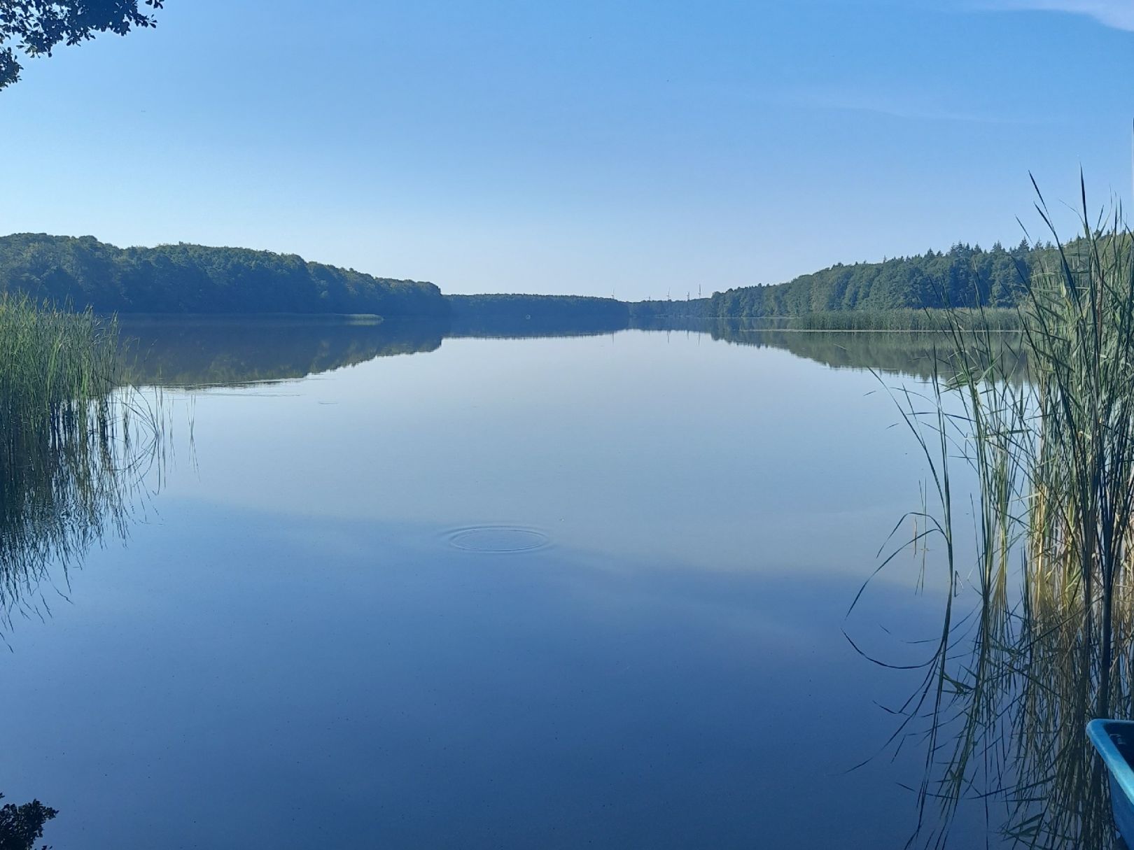 Großer Wentowsee angeln