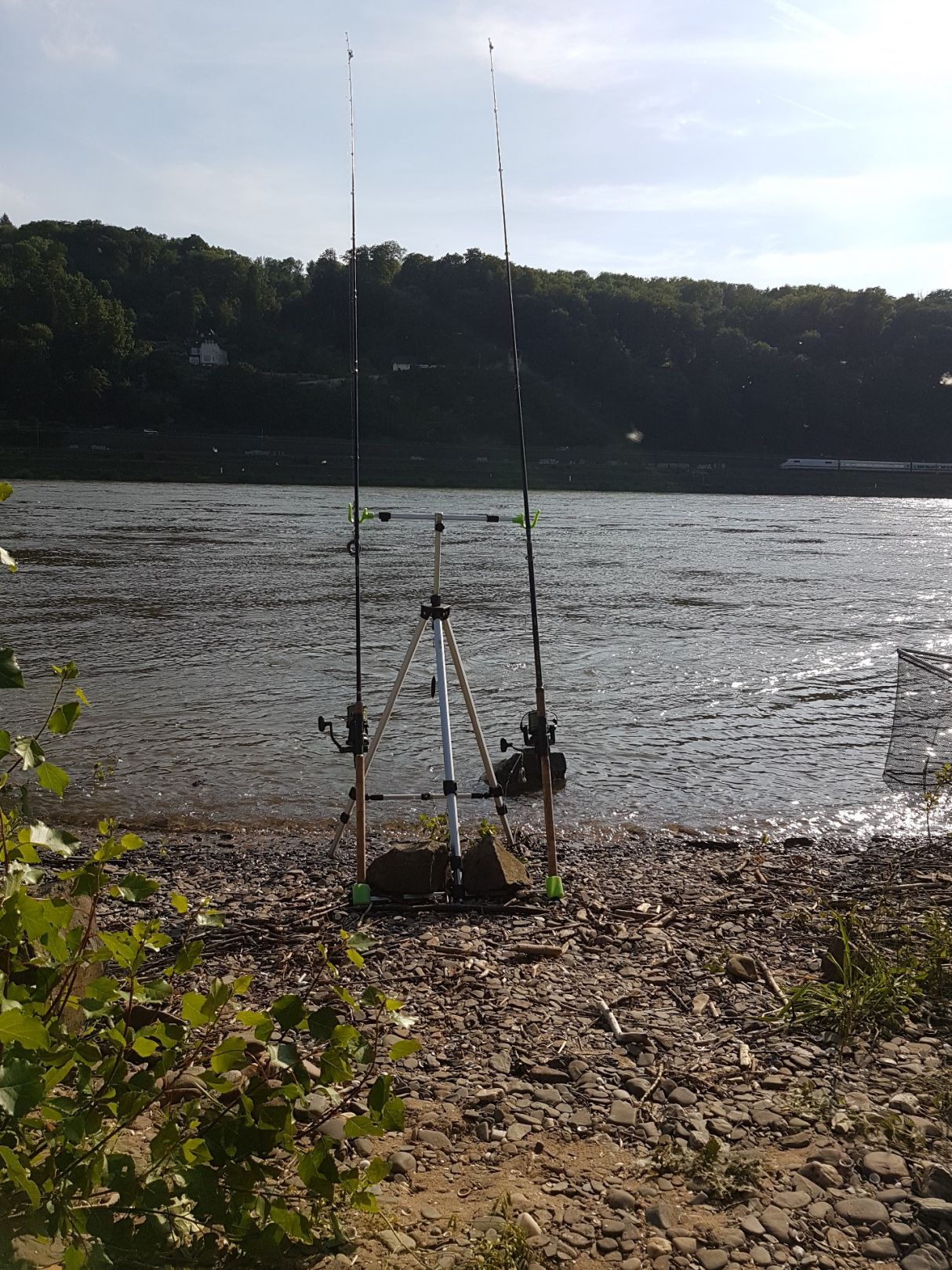 Angeln in Remagen