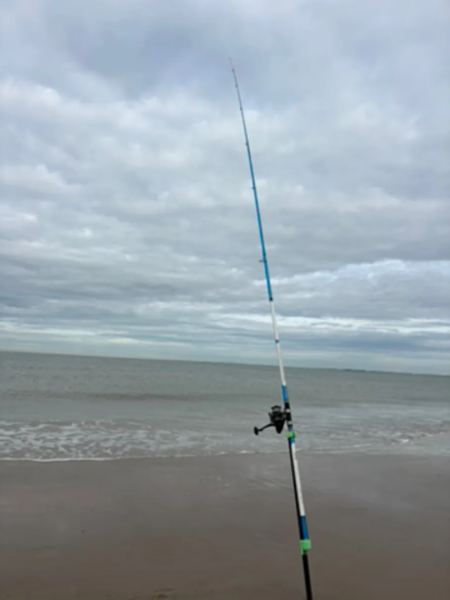 Nordsee (Cadzand) angeln