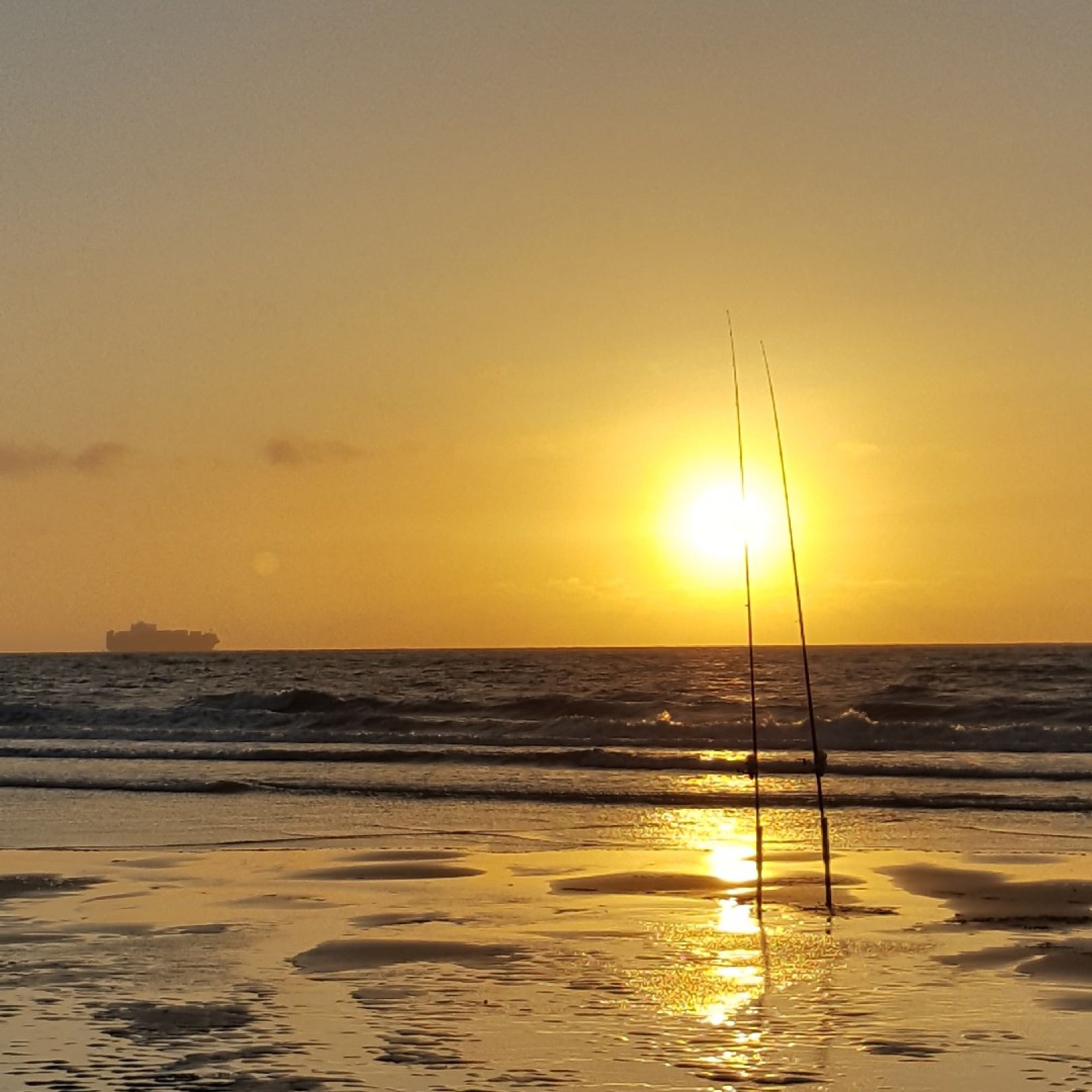 Nordsee (Cadzand) angeln