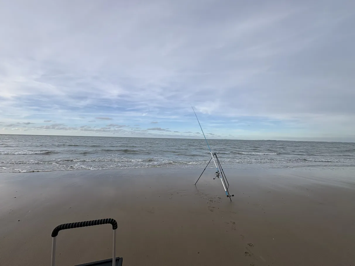 Nordsee (Cadzand) angeln
