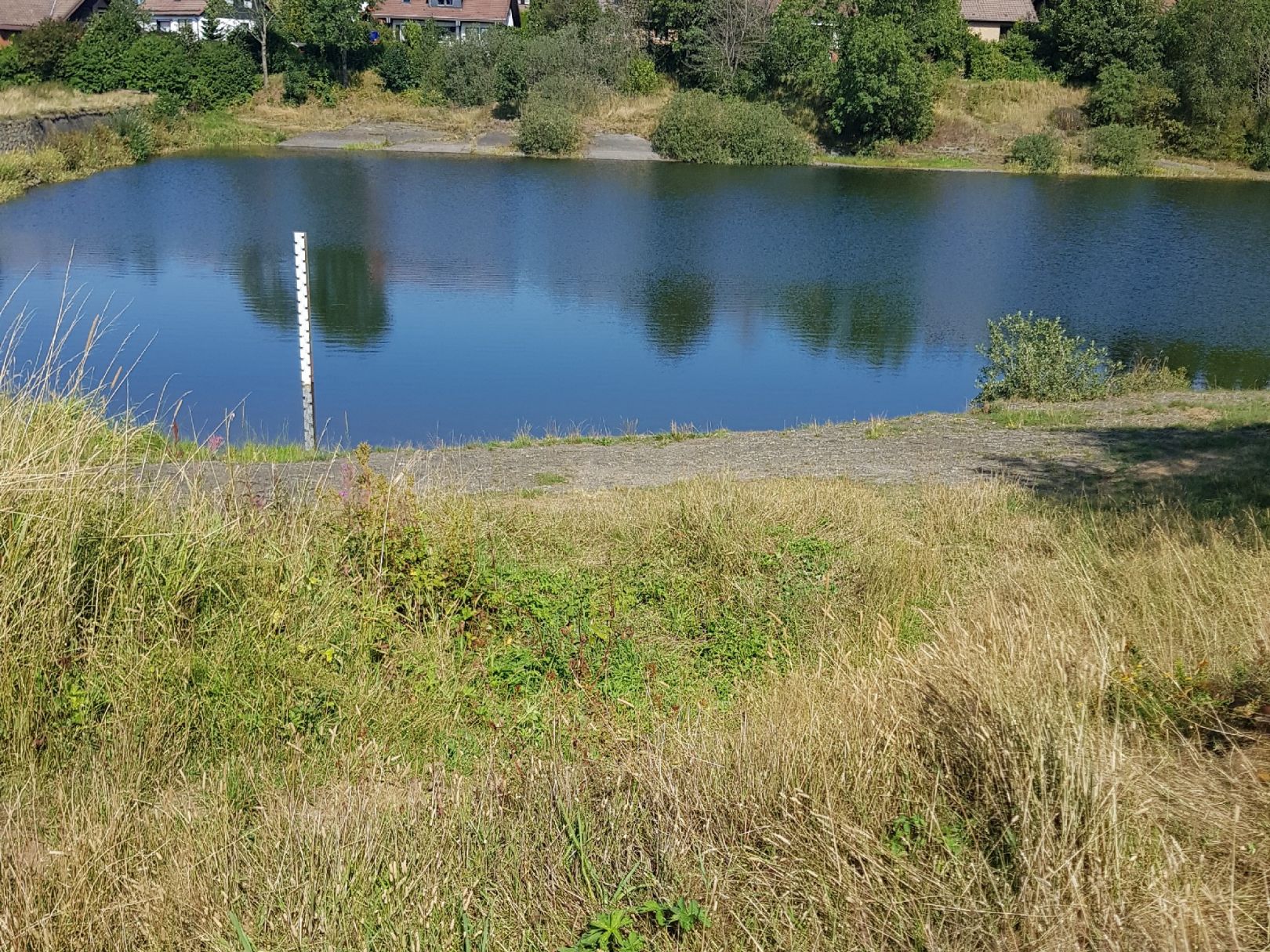 Oberer Eschenbacher Teich angeln