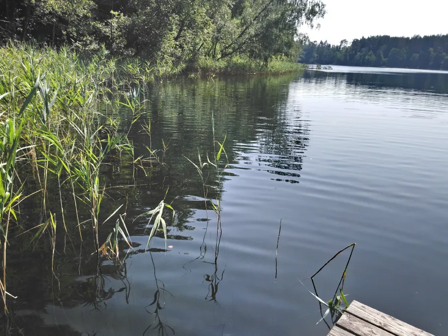 Glambecksee (Lychen) angeln