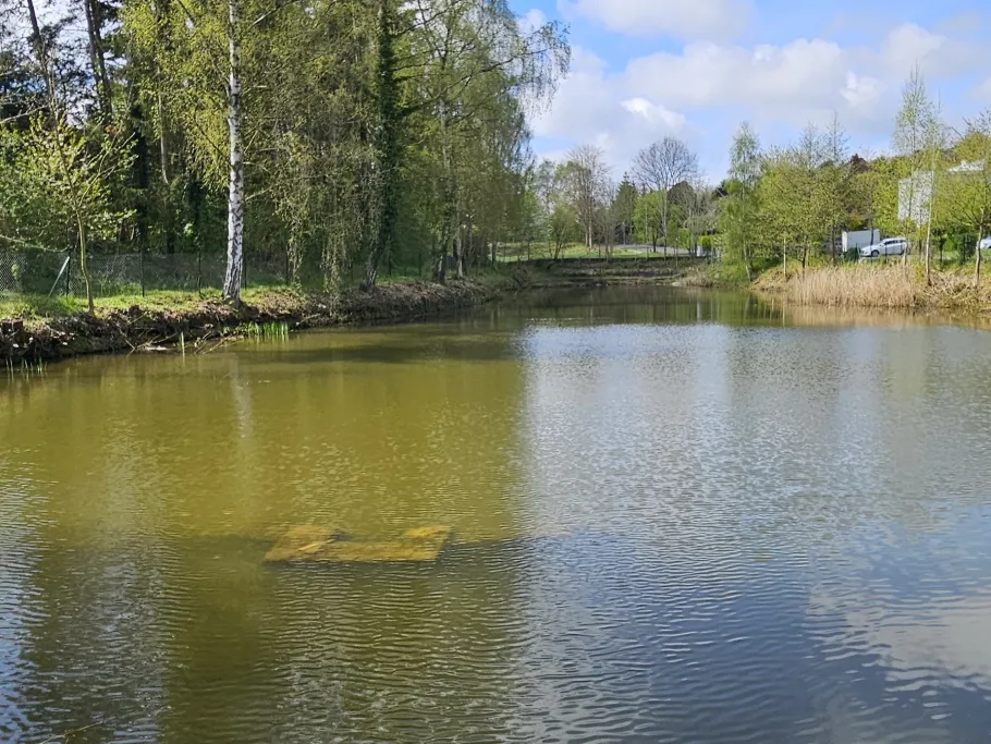 Eetzteich (Lütjenburg) angeln