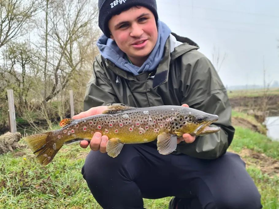 Hasel (Balzhausen) angeln