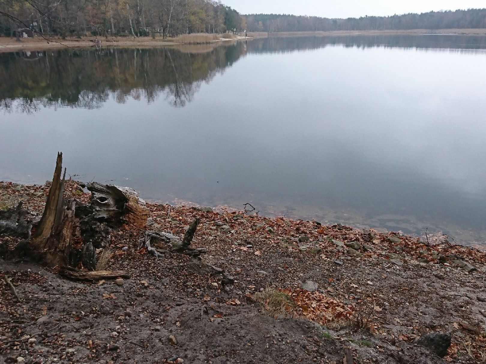 Brettmühlenteich (Zschorna) angeln