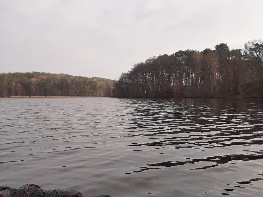 Hölzerner See (Groß Köris) angeln