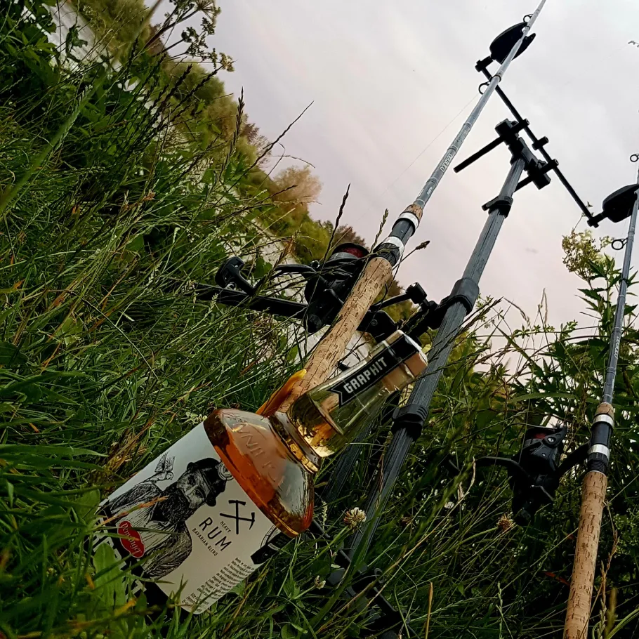 Schlingener See angeln