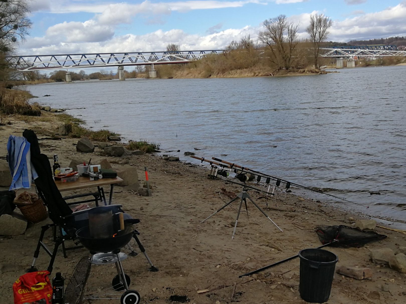 Donau (Deggendorf) angeln
