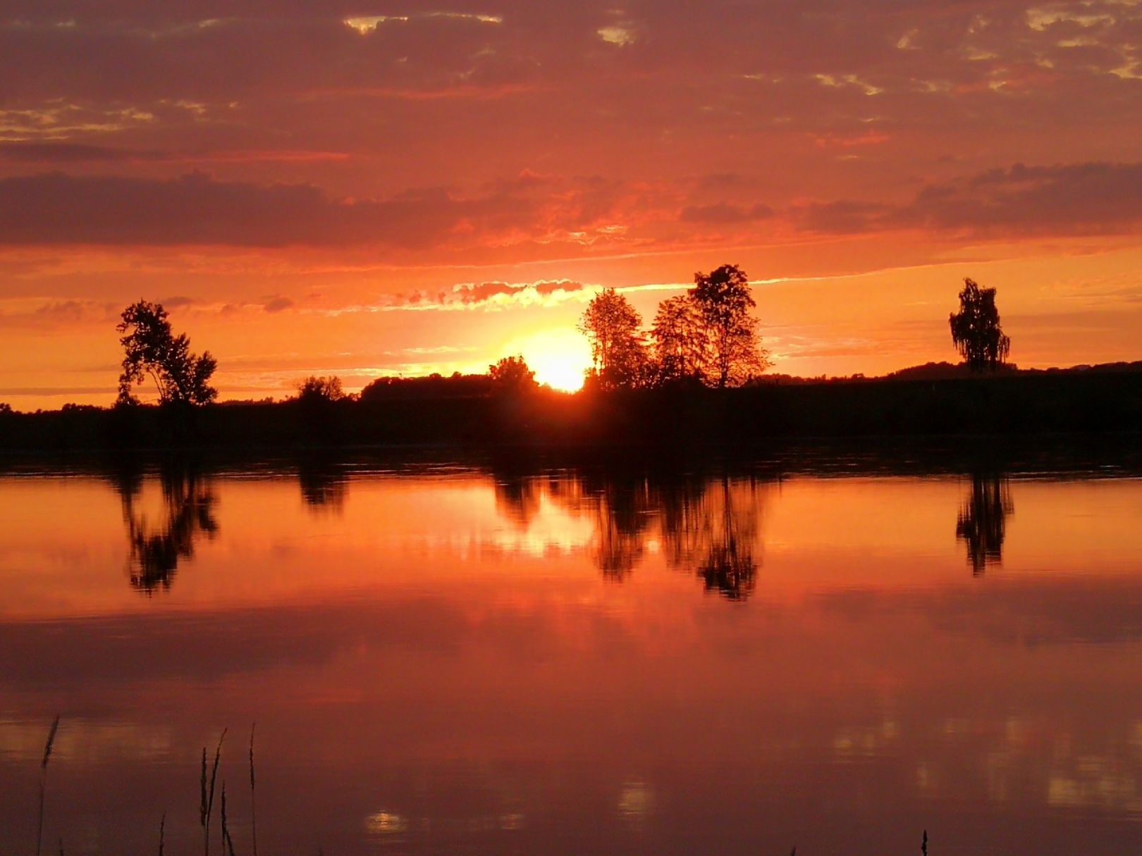 Angeln in Metten