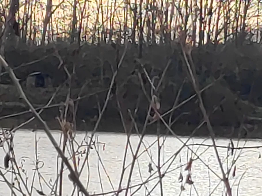 Linzenicher Baggersee 1 angeln