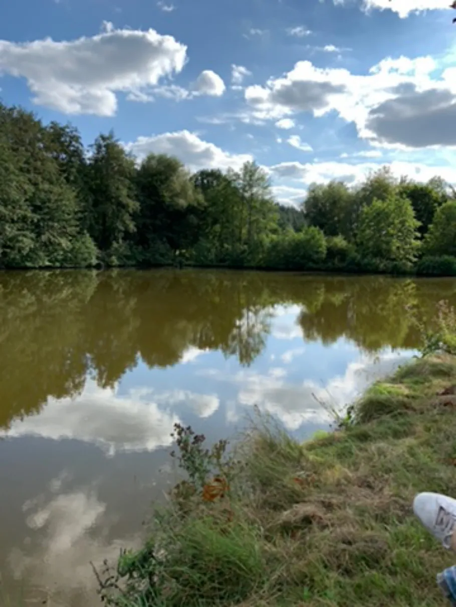 Forellenweiher Neuerburg angeln