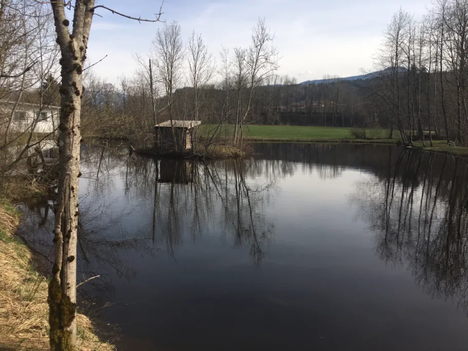 Vitzthumer Weiher angeln