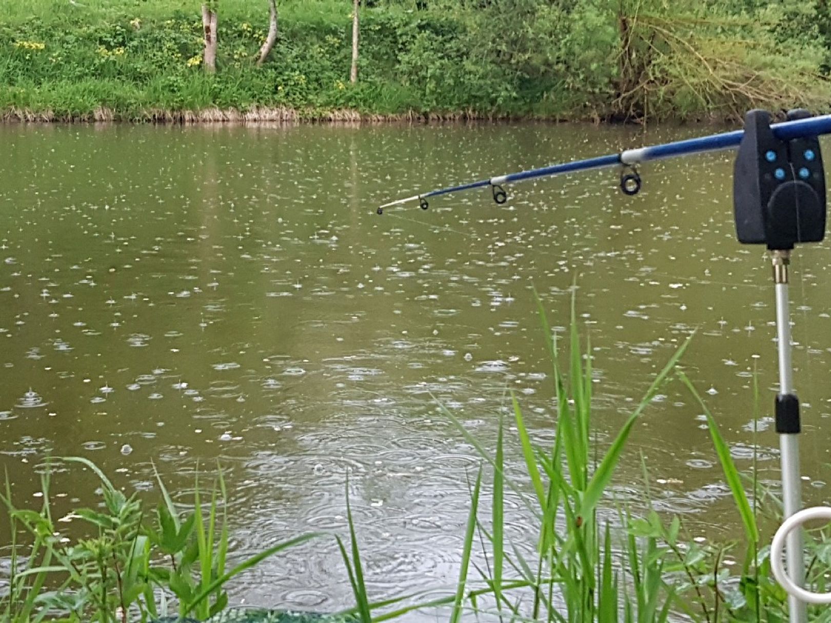 Vitzthumer Weiher angeln