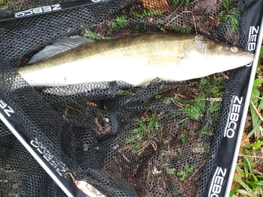 Schaberer Weiher angeln