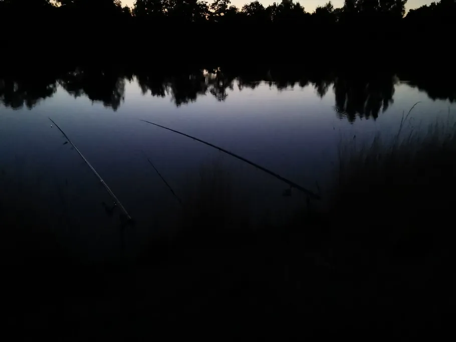 Mittellandkanal (Vorsfelde-Wendschott) angeln