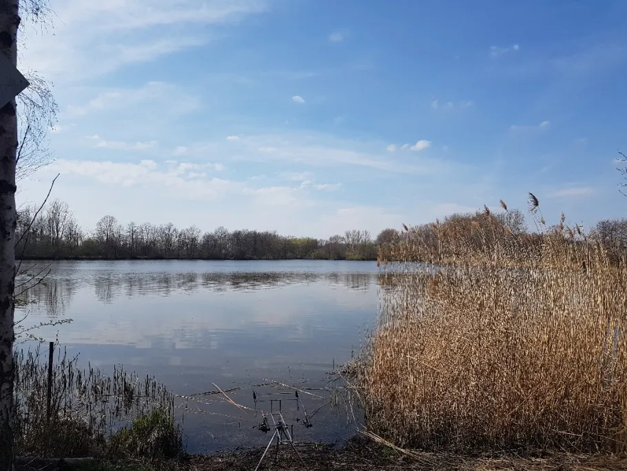 Rückhaltebecken Hahnefeld angeln