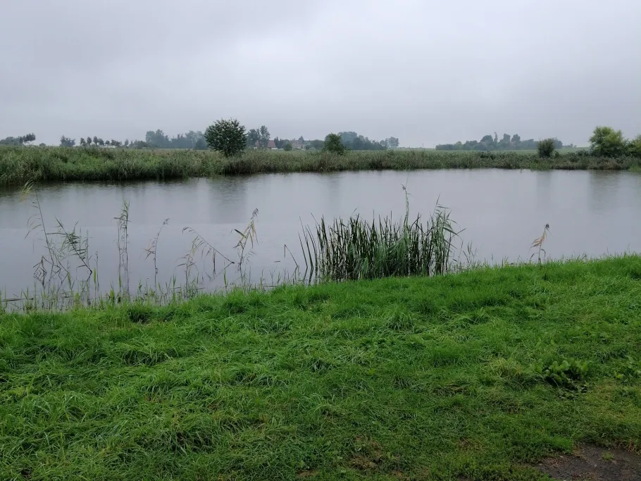 Schwemmteich (Hohnstädt) angeln