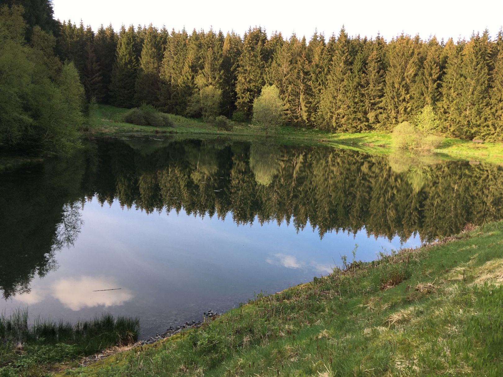 Oberer Hüttenteich (ClausthalZellerfeld) ALLE ANGELN