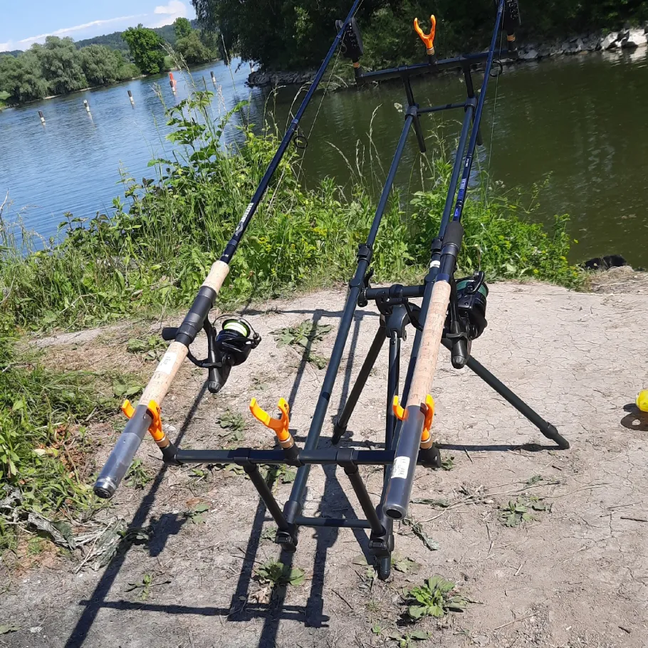 Donau (Vilshofen) angeln