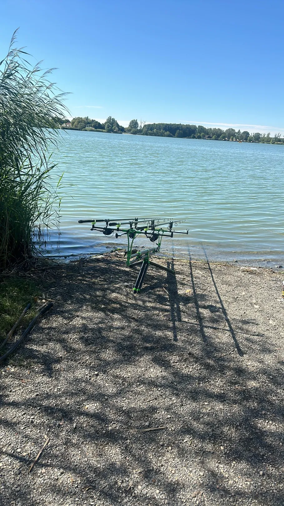 Étang de la Mutche angeln