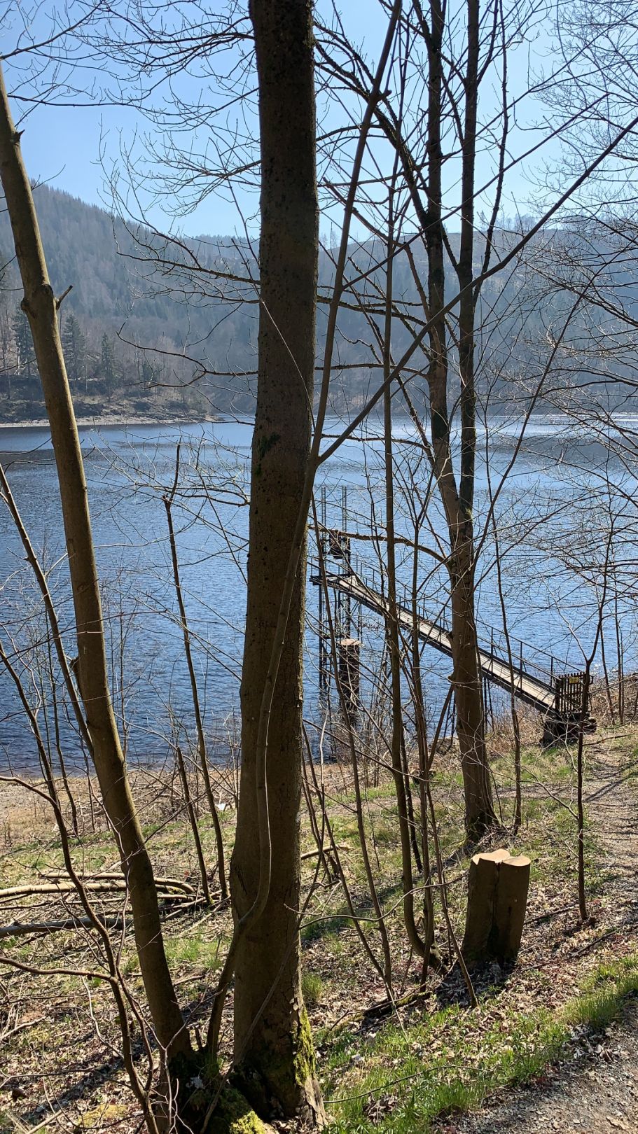 Oderstausee (Bad Lauterberg) angeln