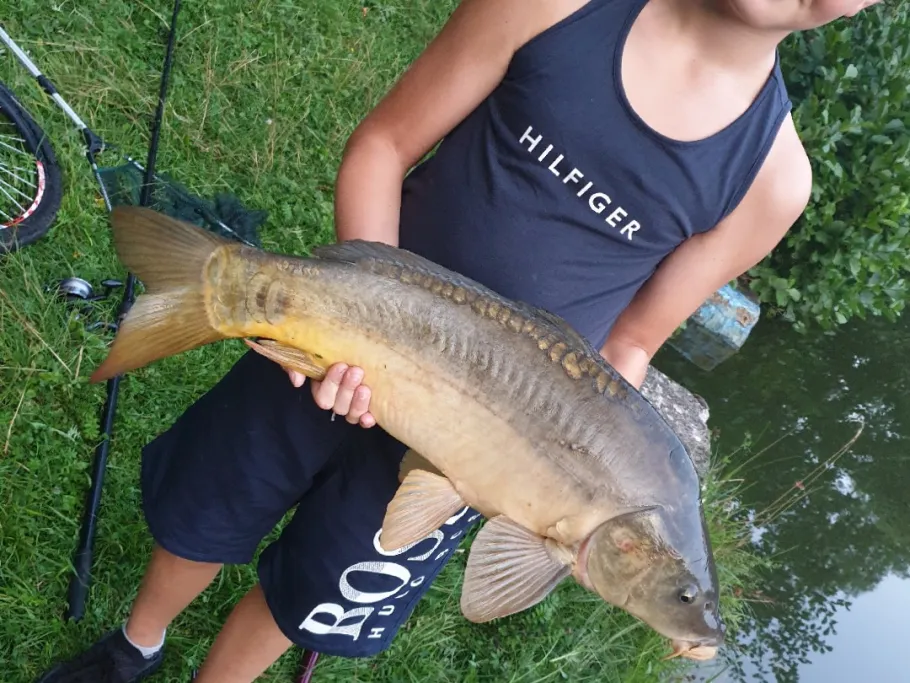 Waldbad Stolberg angeln