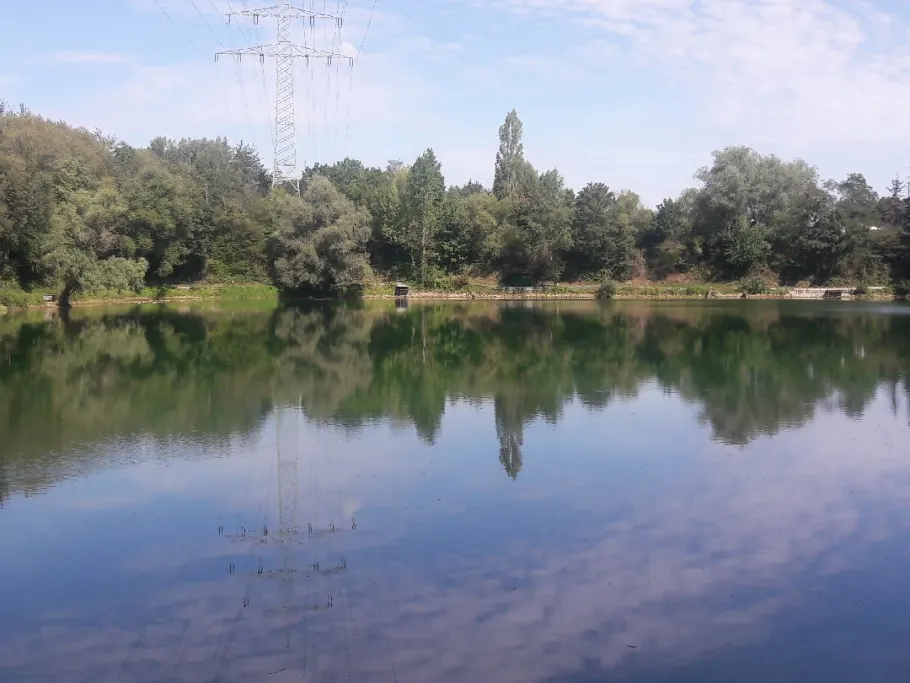 Vereinssee ASV Früh Auf Wesseling angeln