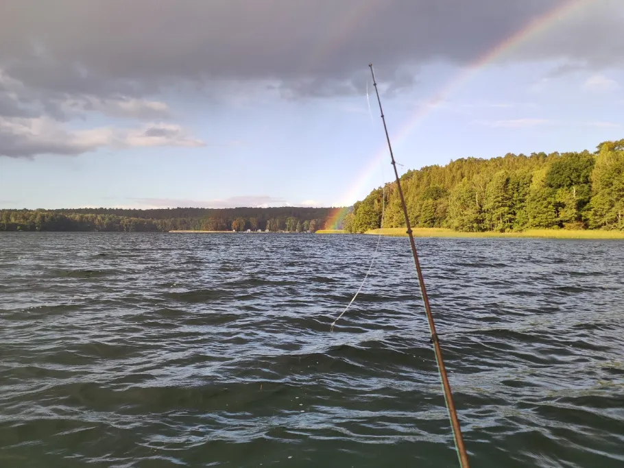 Werbellinsee (Joachimsthal) angeln