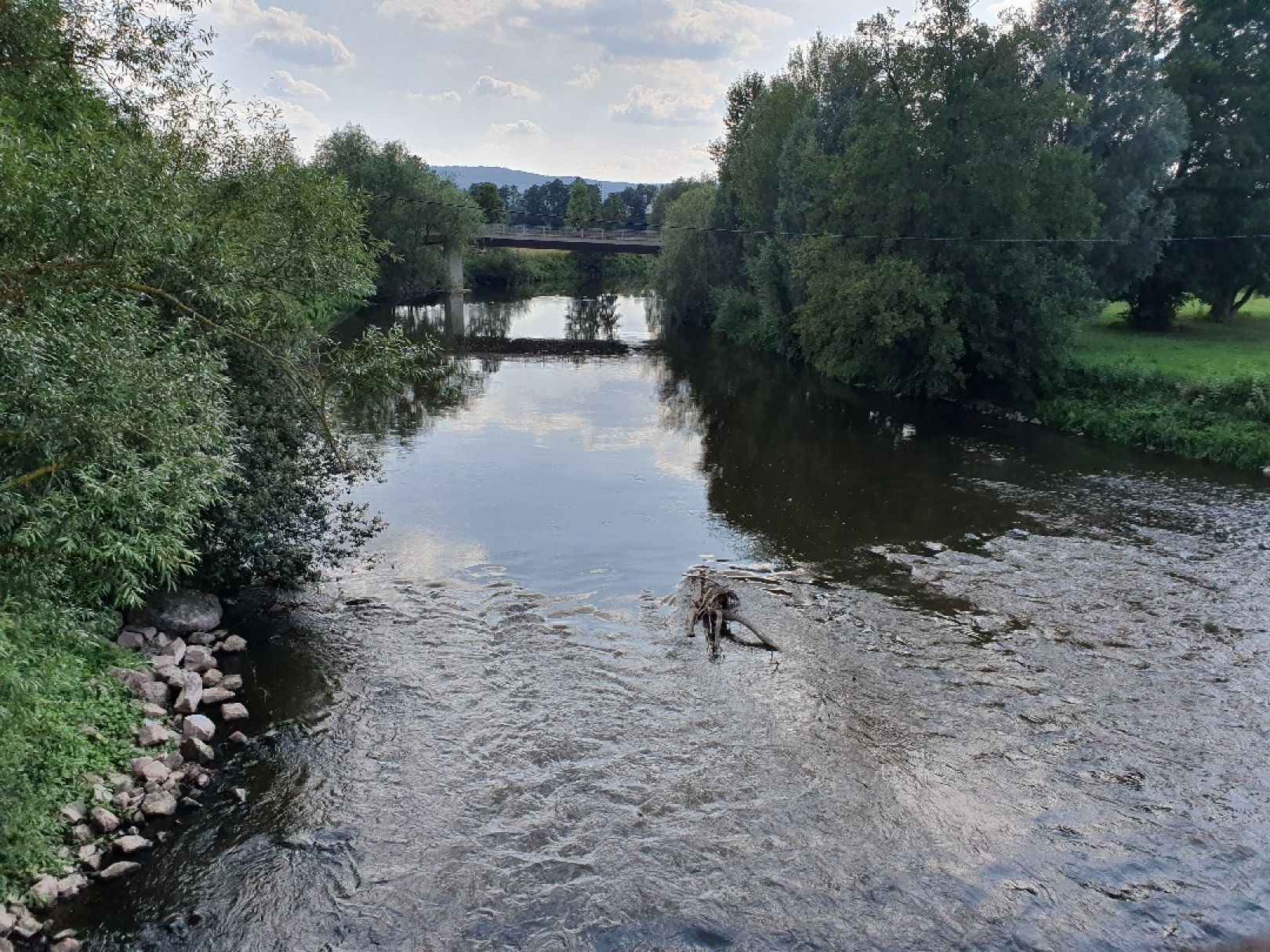 Werra (Creuzburg) angeln