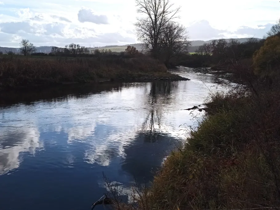 Werra (Creuzburg) angeln