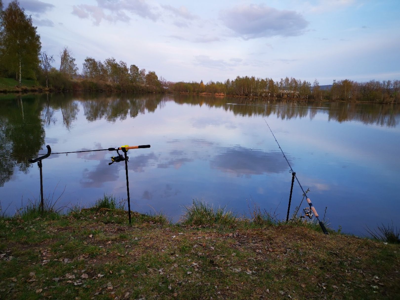 Riedsee (Pfohren) angeln