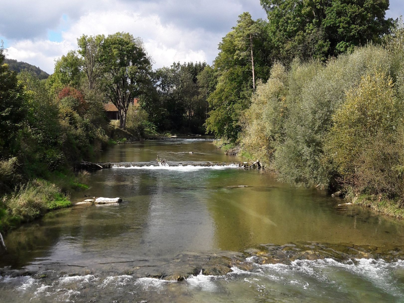 Mangfall (Bad Aibling) angeln
