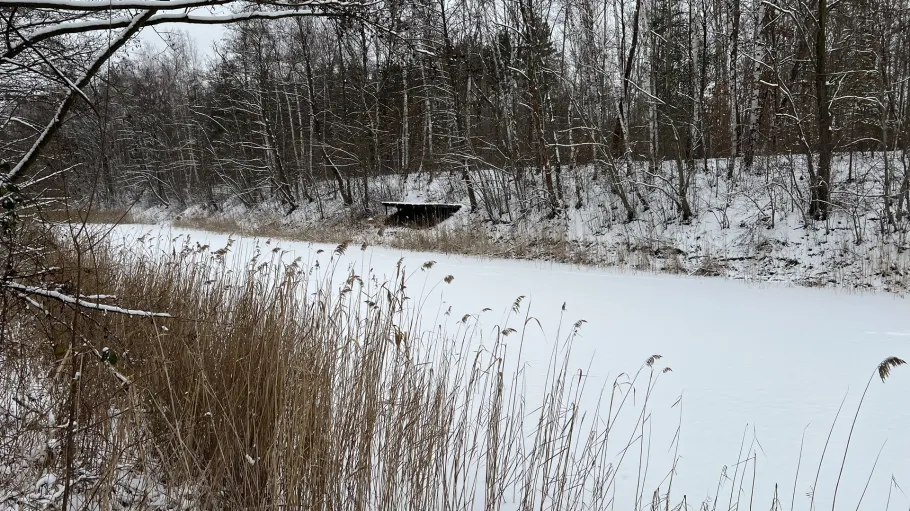 Kippengewässer (Plessa) angeln