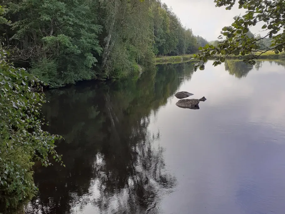 Ronnebyån (Klåvben) angeln