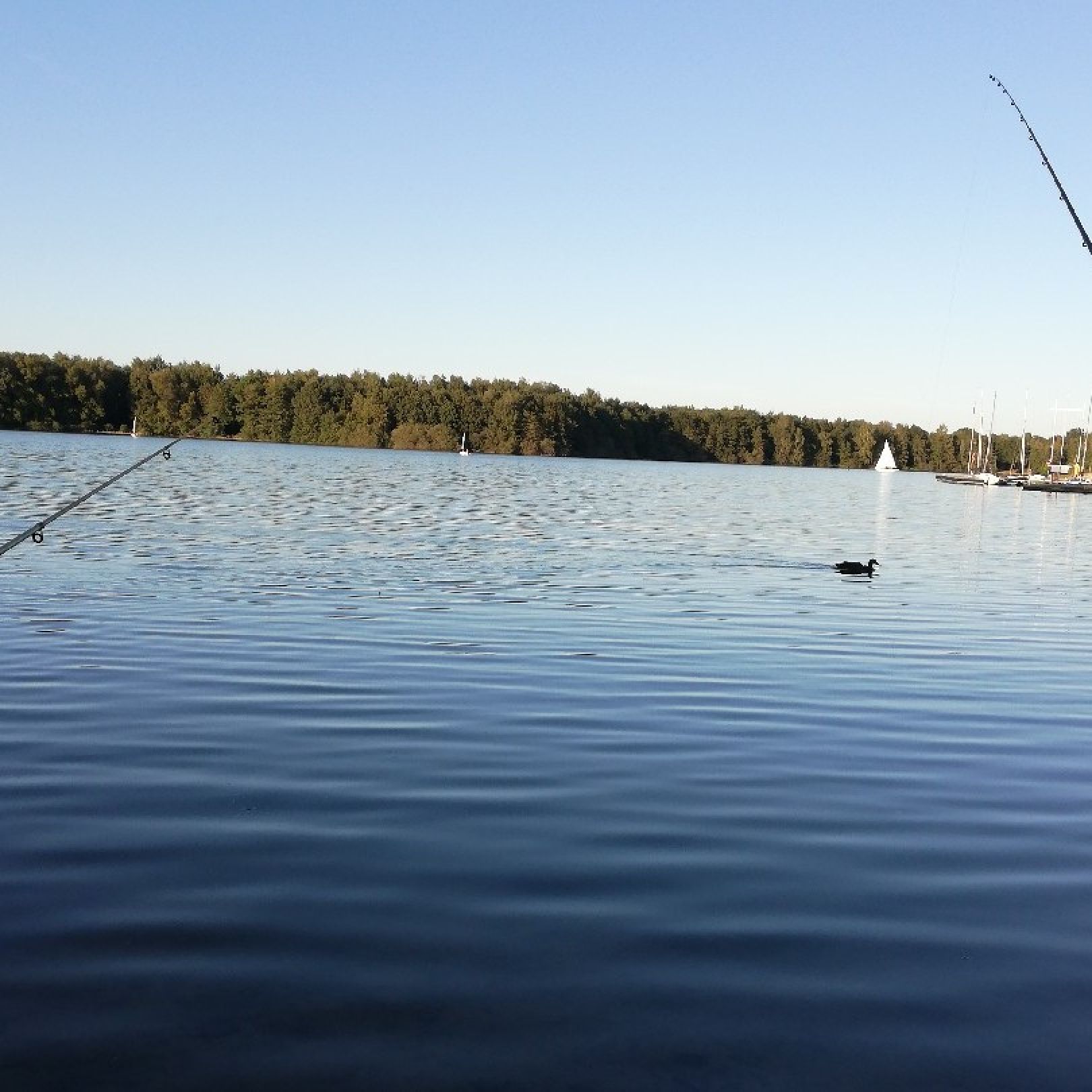 Dreiländersee (Gronau) angeln
