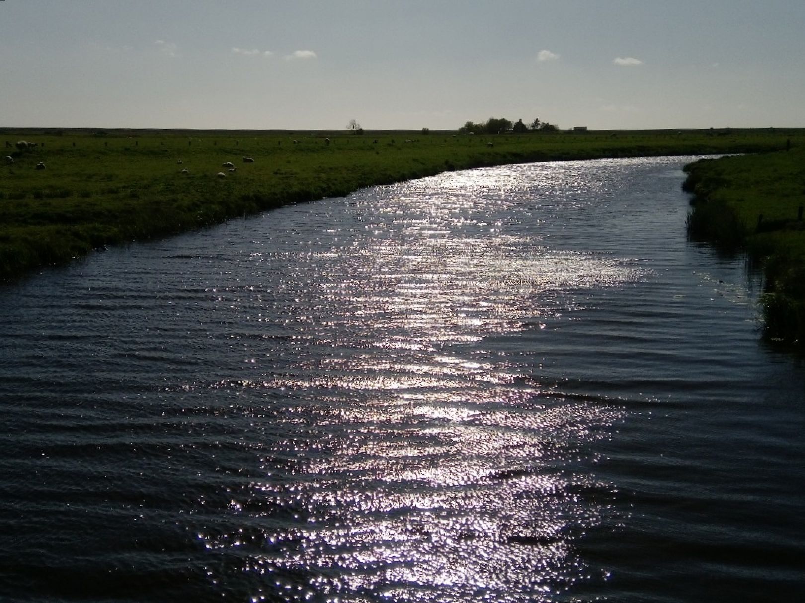Arlau (Struckum) angeln