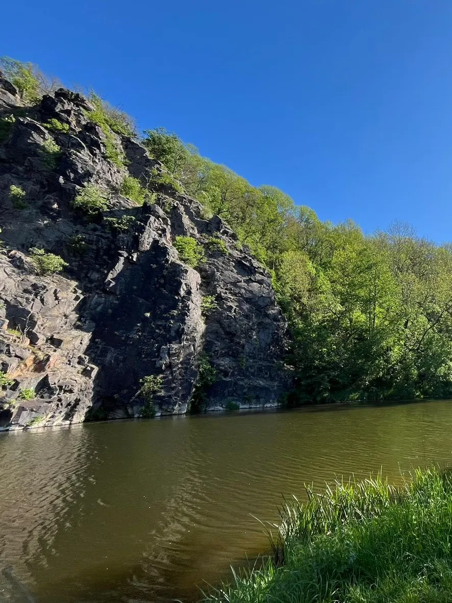 Zschopau (Waldheim) angeln