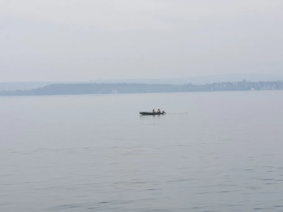 Bodensee (Immenstaad am Bodensee) angeln