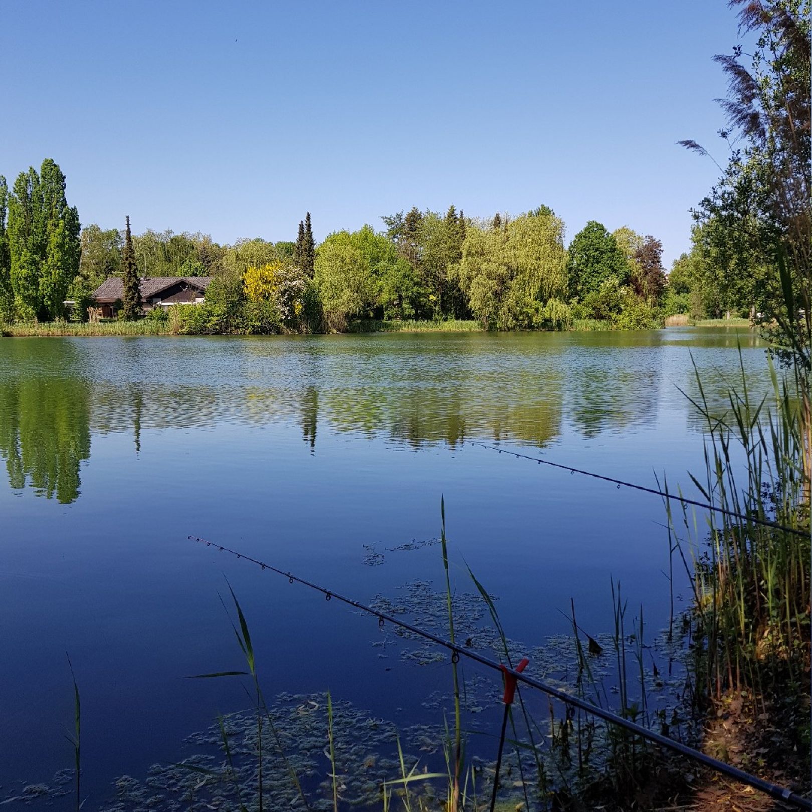 Hirschfeldsee (Sperrfechter Freizeitpark) angeln