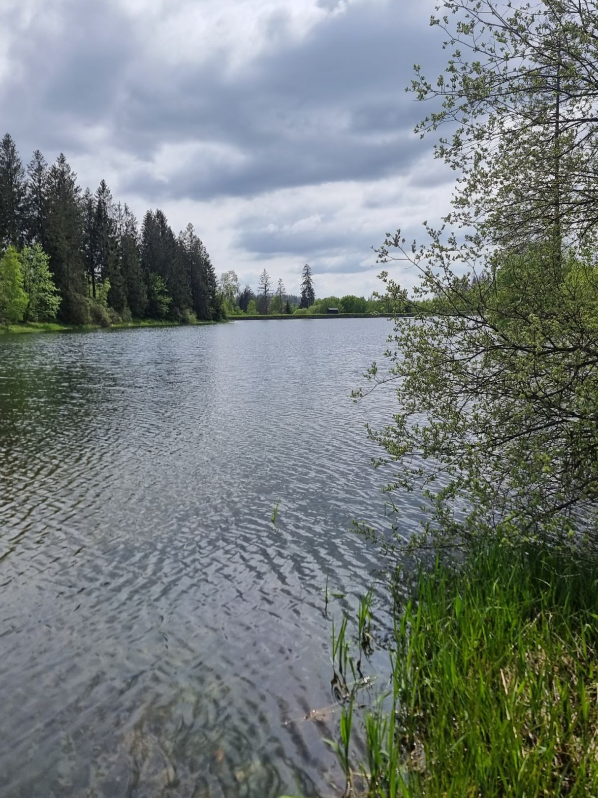 Schwarzenbacher Teich angeln