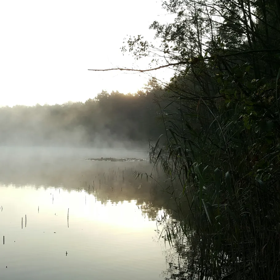 Kleiner Glasowsee angeln